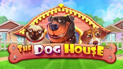  casino guru dog house